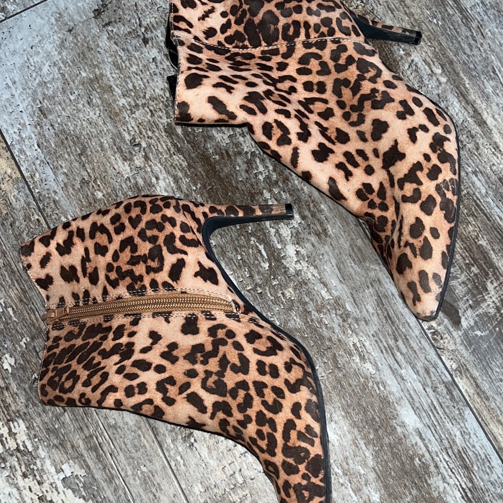 Leopard